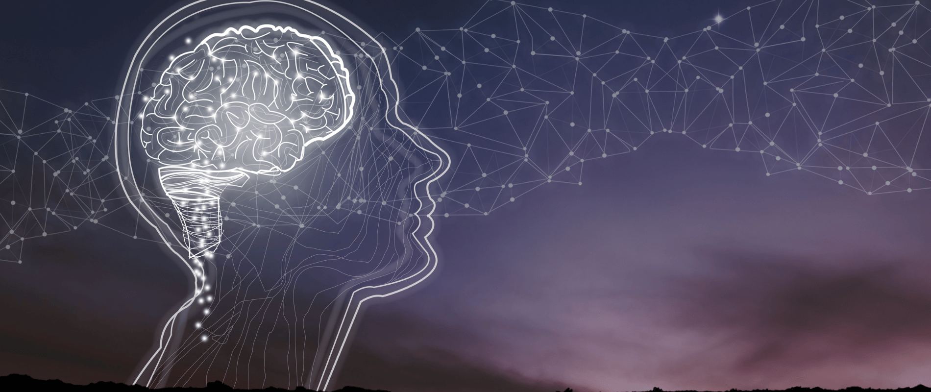 Die Wissenschaft der Angst