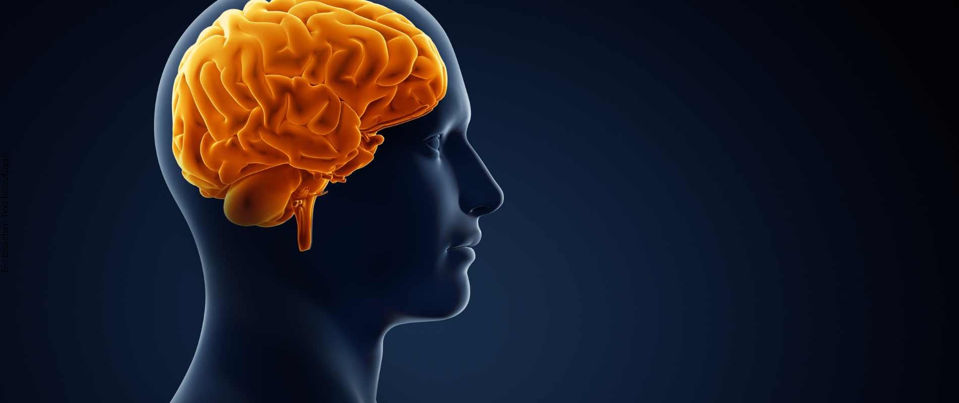 Angst verstehen: Hormone und Gedanken