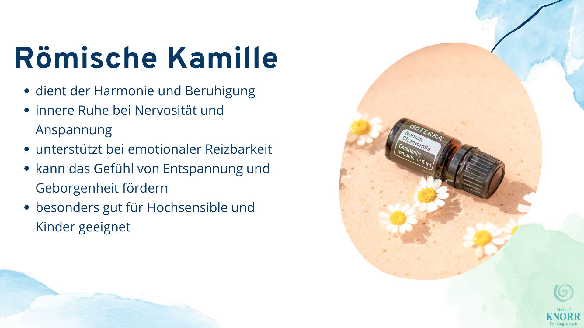 Römische Kamille gegen Angst und Panik